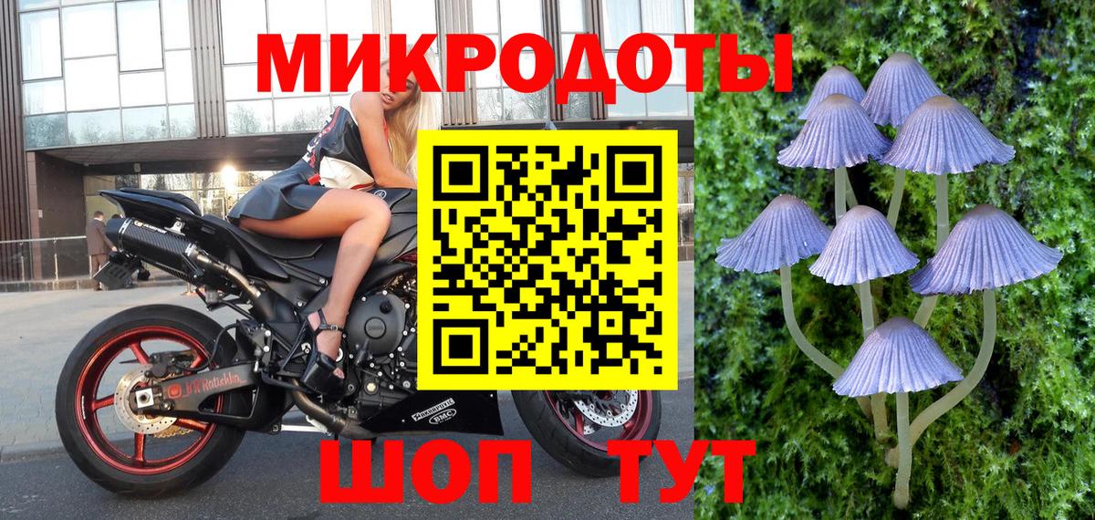 Лениногорск  Галлюциногенные грибы Psilocybe  Вход с VPN 